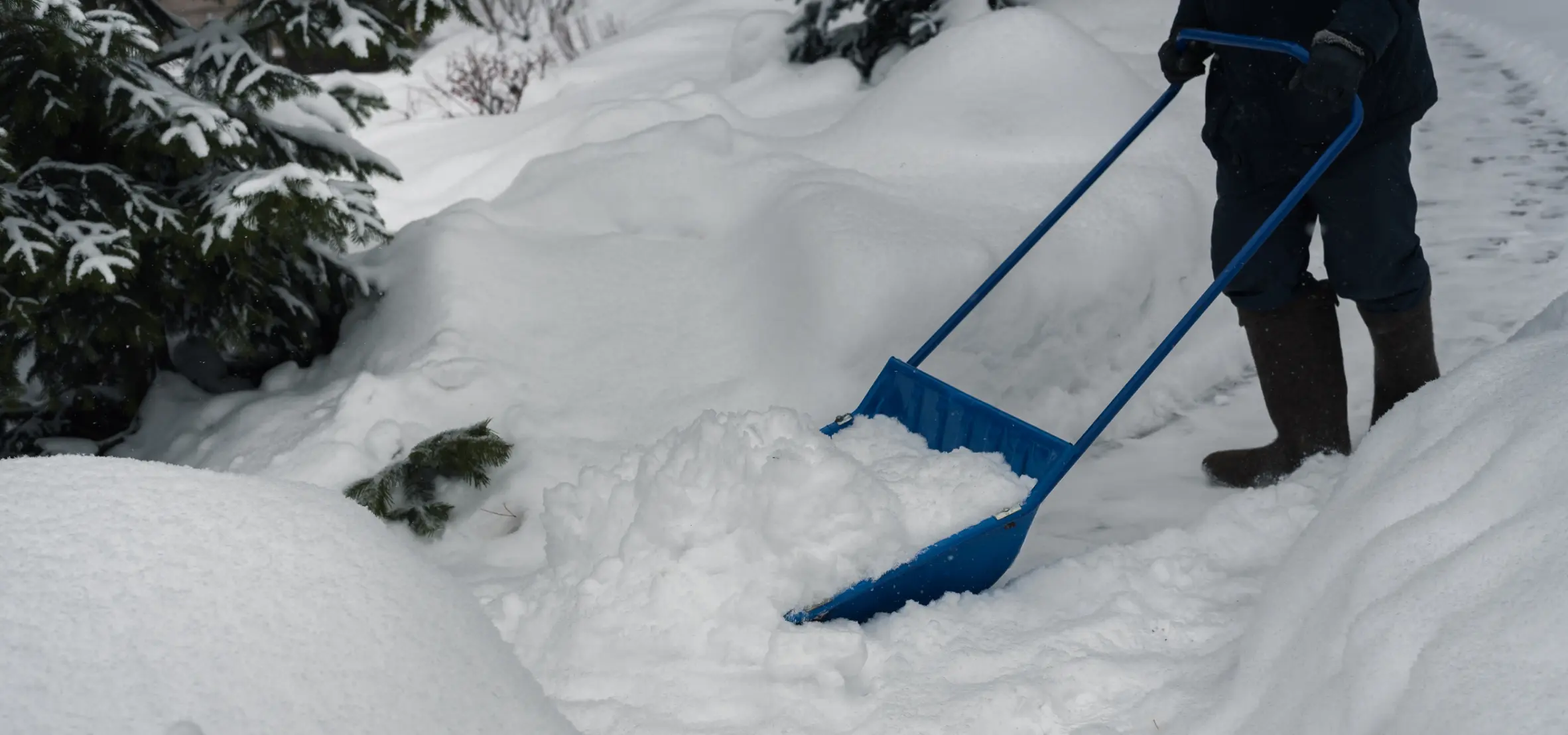 Snow Removal 
